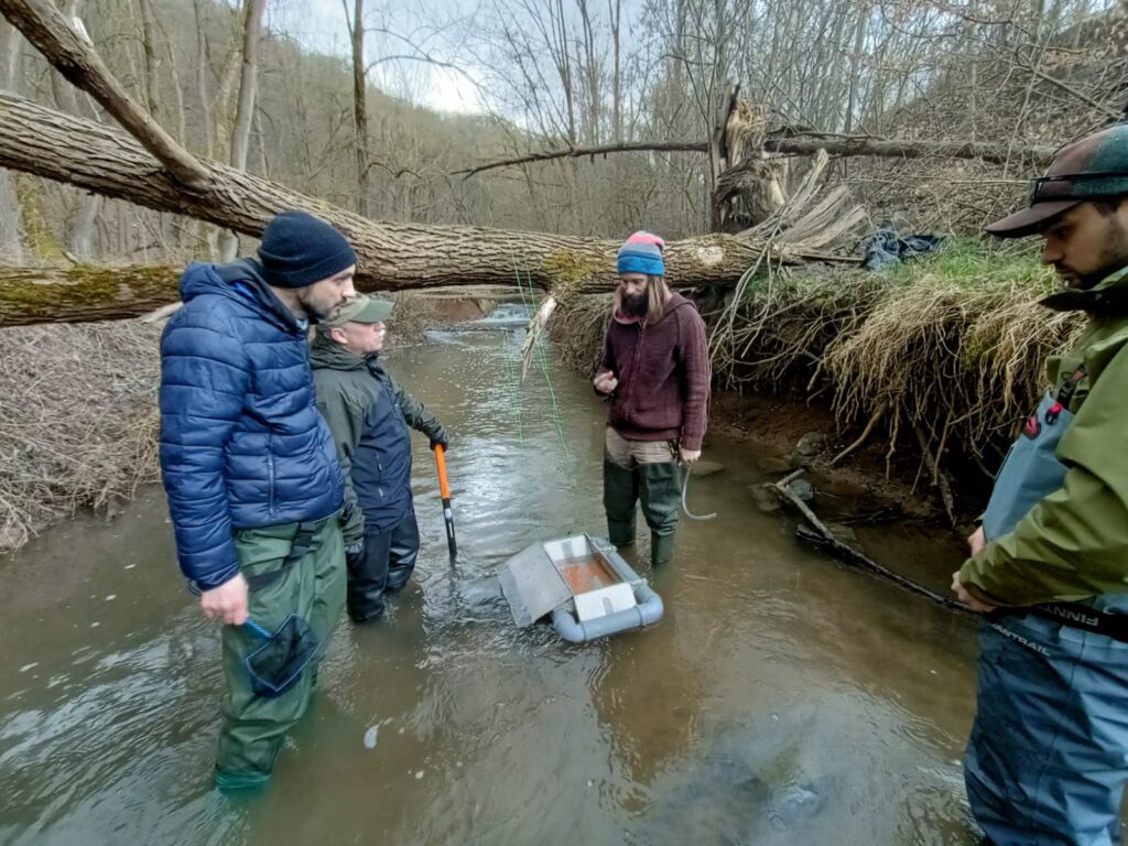 Potočáci z plovoucích inkubátorů osidlují pražské toky. Pomohly i Norské fondy