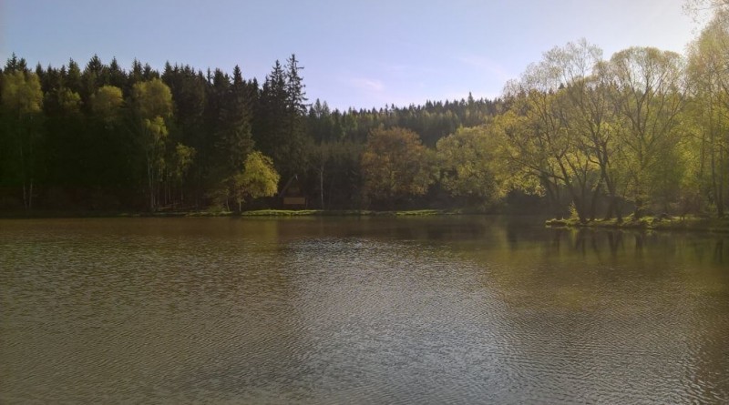 Lov s feederem na revírech RS Vysočina – 4. díl: Nový rybník