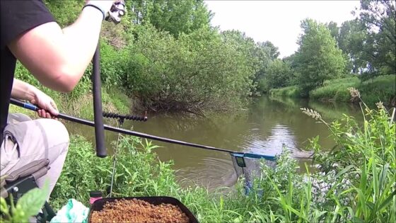 Video: picker na řece