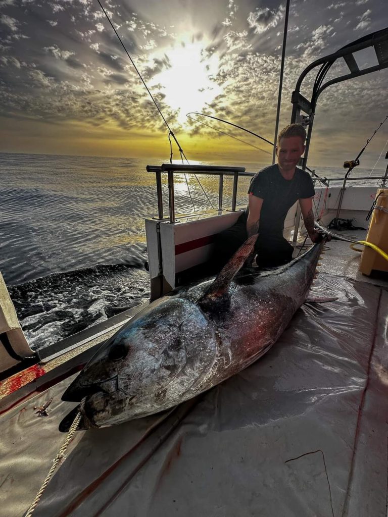 Návrat tuňáka do Severního Atlantiku
