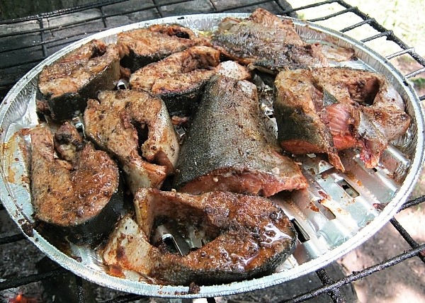 Losos na grilu - připravené porce ryby