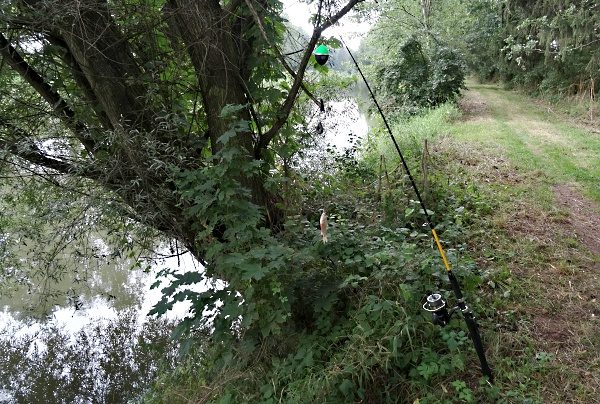 Prut na sumce s kačenou, montáž na položenou, splávek slouží k zjištění, kterým směrem dravec po záběru plave.