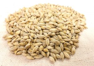 barley-jesmen-sety