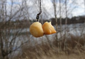 smazeny-hrasek-v-maggi2