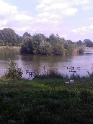 FB_IMG_1503734678702