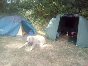 IMG_20170826_121036